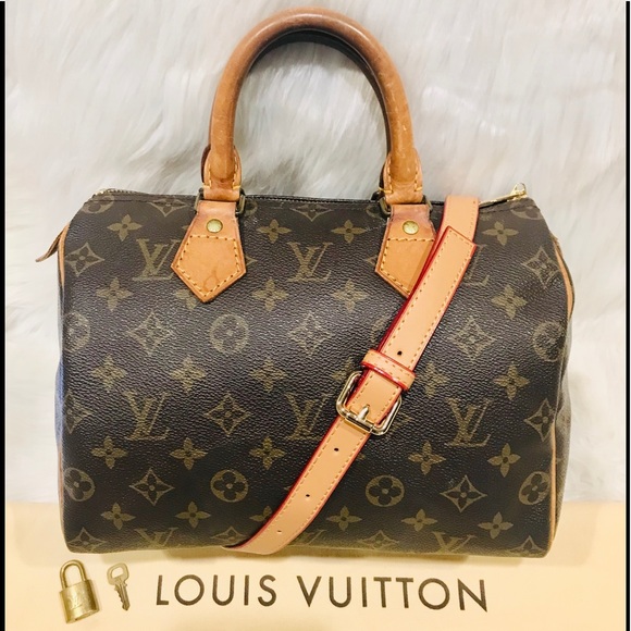 Louis Vuitton Handbags - Authentic Louis Vuitton Speedy 25 Tote #3.4Q